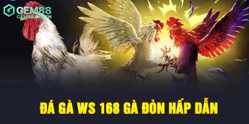 Ưu điểm vượt trội chỉ có tại sảnh đá gà WS168